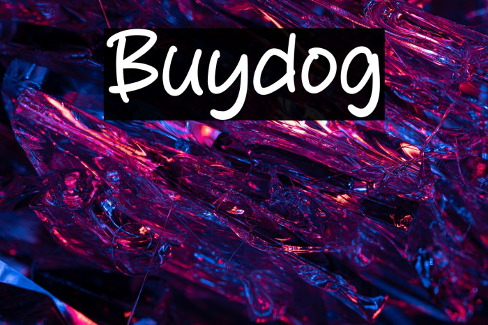 Buydog Example 2