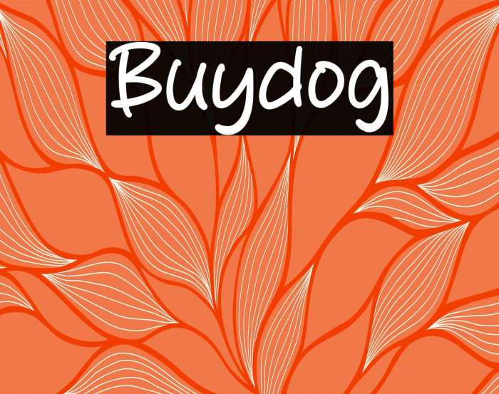 Buydog Example 3