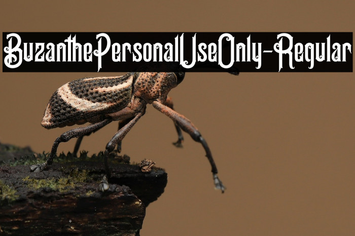 BuzanthePersonalUseOnly-Regular Example 3