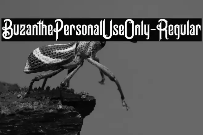 BuzanthePersonalUseOnly-Regular Font examples