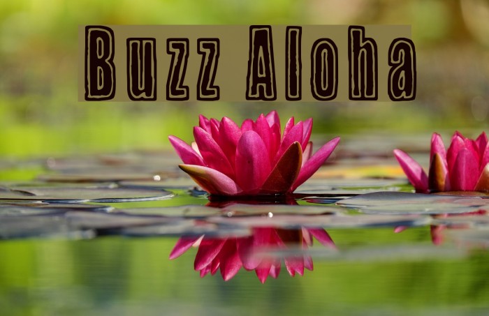 Buzz Aloha Font examples