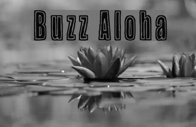 Buzz Aloha Example 1