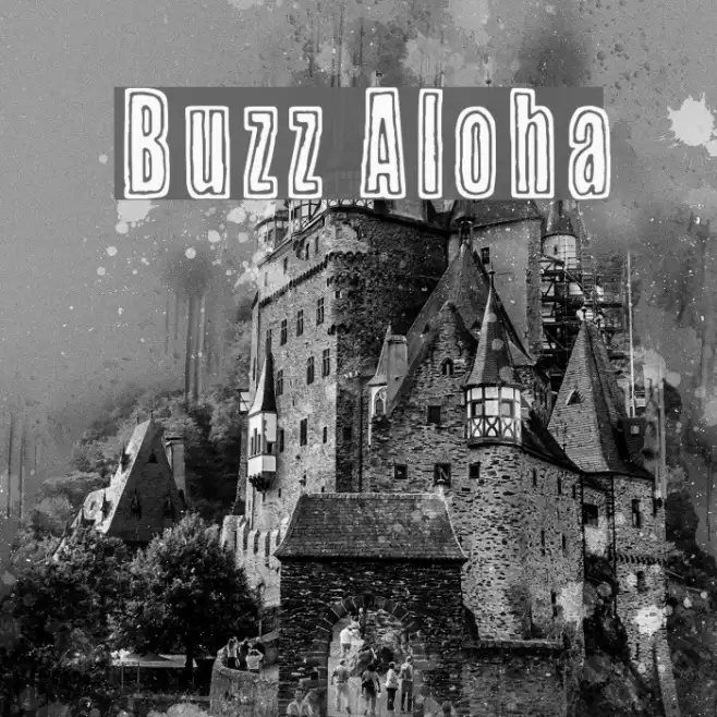 Buzz Aloha Example 2
