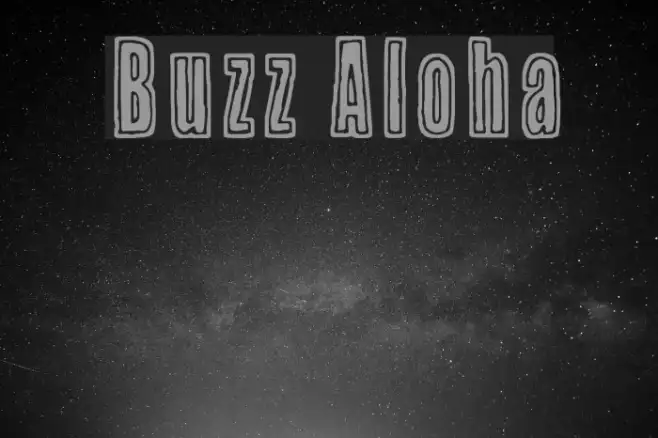 Buzz Aloha Example 3