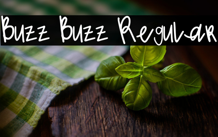 Buzz Buzz Regular Example 2