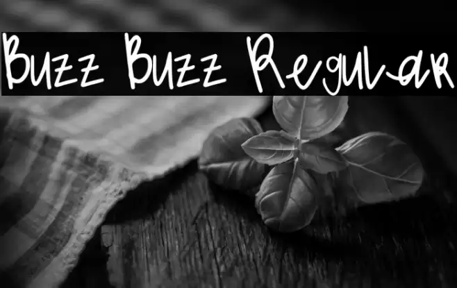 Buzz Buzz Regular Font examples