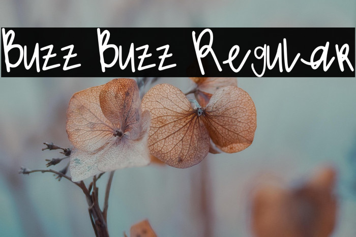 Buzz Buzz Regular Example 3