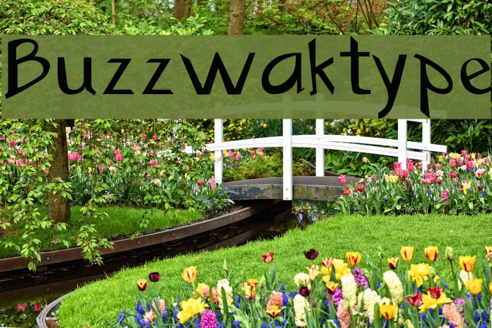 Buzzwaktype Example 1