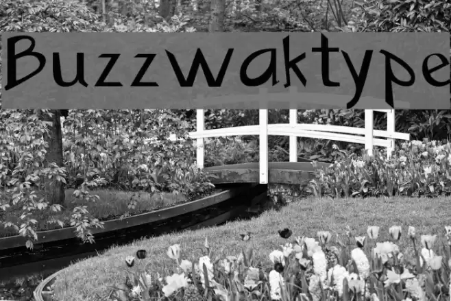 Buzzwaktype Font examples
