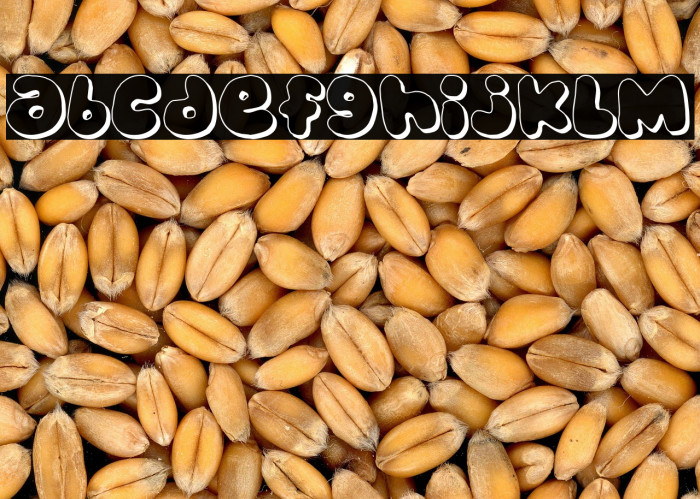 bubblegums Example 1