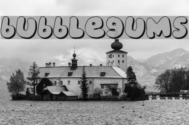 bubblegums Polices examples