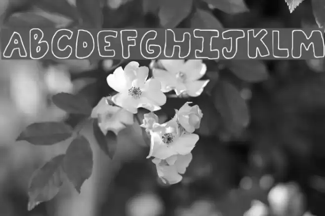 bubblii Font examples