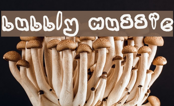 bubbly aussie Font examples