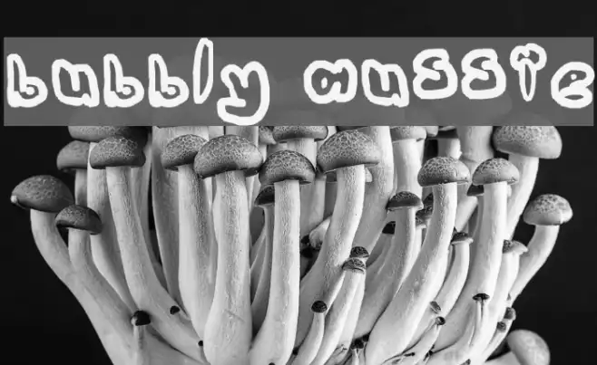 bubbly aussie Example 2