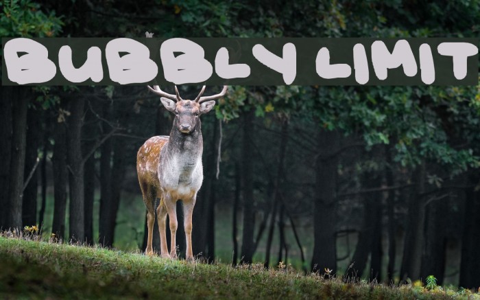 bubbly limit Font examples