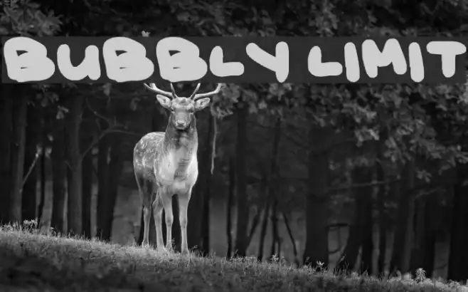bubbly limit Example 3