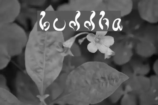 buddha Font examples