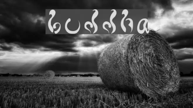 buddha Font examples