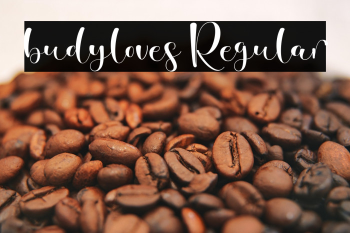 budyloves Regular Example 1