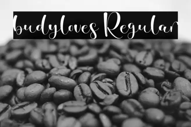 budyloves Regular フォント examples