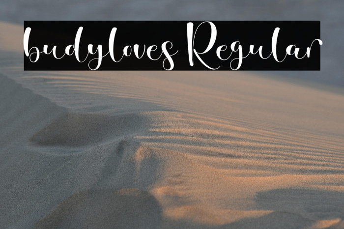 budyloves Regular Example 2