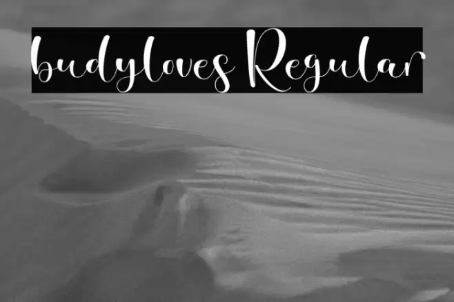 budyloves Regular フォント examples