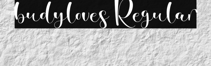 budyloves Regular Example 3