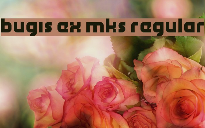 bugis ex mks Regular Font examples