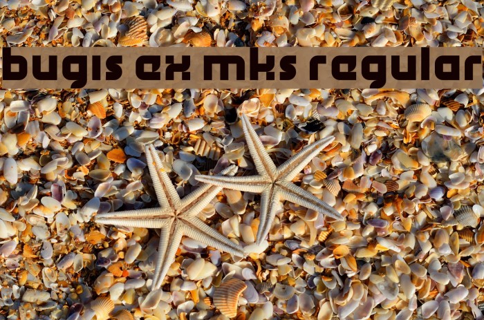bugis ex mks Regular Font examples