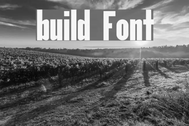 build Example 2