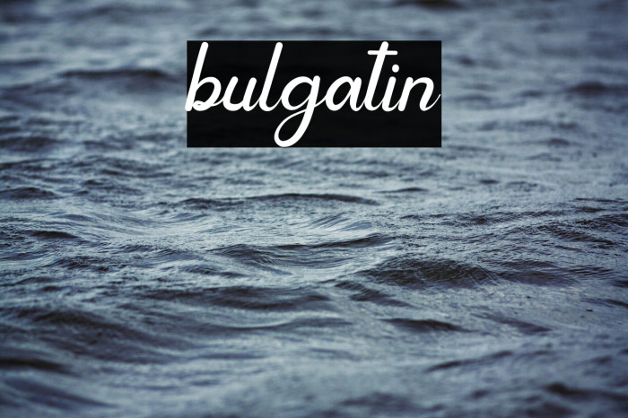 bulgatin Example 1