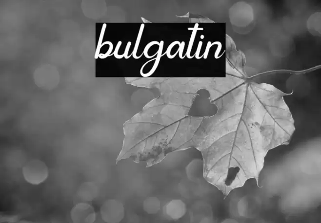 bulgatin Font examples