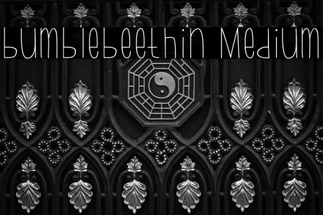 bumblebeethin Medium Example 1