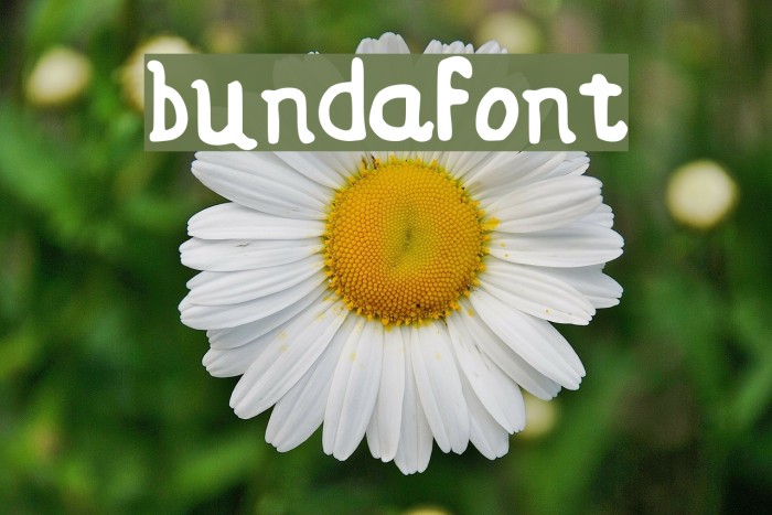 bundafont Font examples