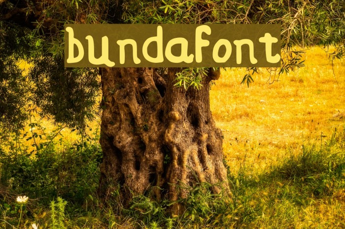 bundafont Font examples