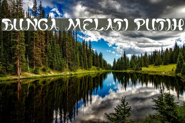 bunga melati putih Example 3