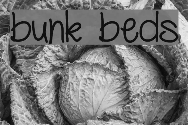 bunk beds Font examples