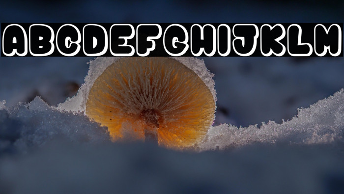 bunny$mambo Example 1