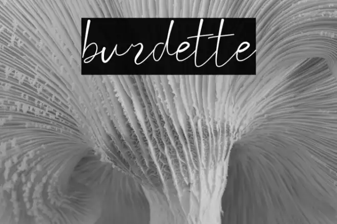 burdette Example 3