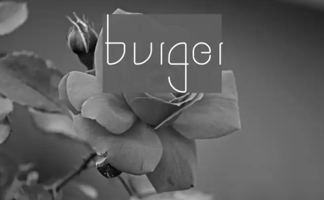 burger Font examples