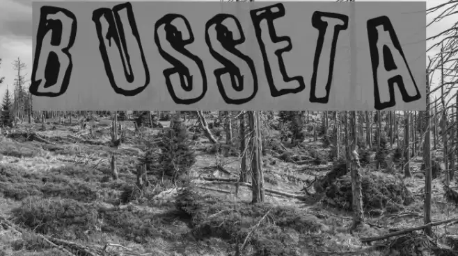 busseta Fuentes examples