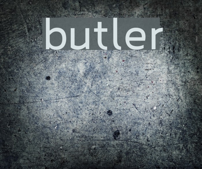 butler Font examples