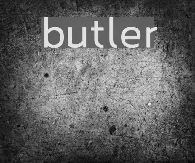 butler Example 1