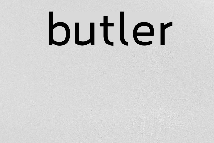 butler Font examples