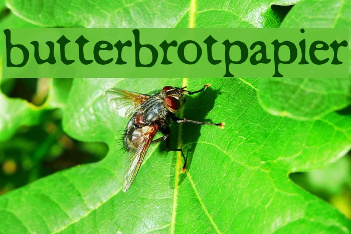 butterbrotpapier Font examples