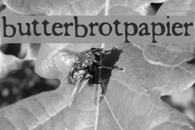 butterbrotpapier Example 2