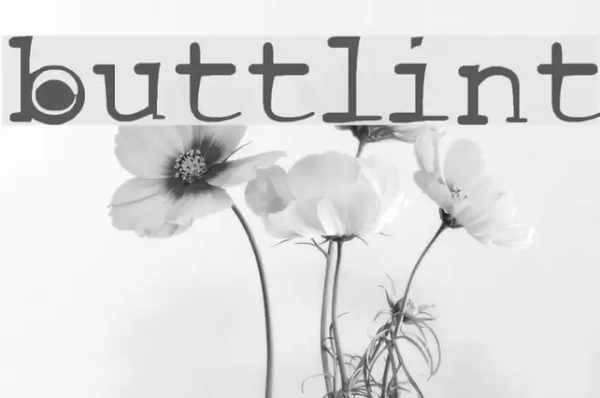 buttlint Font examples