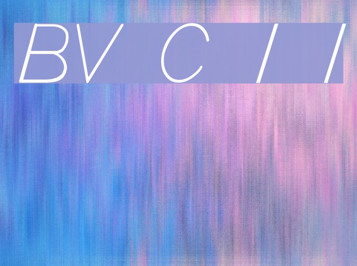 BV Cursive Ital Italic Font examples