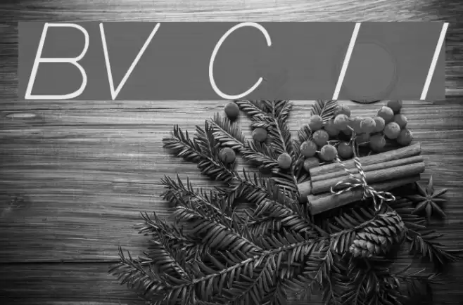 BV Cursive Ital Italic Font examples
