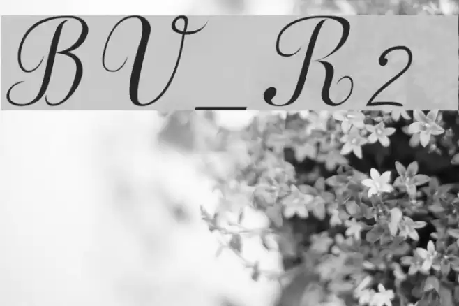 BV_Rondes2 ital Font examples